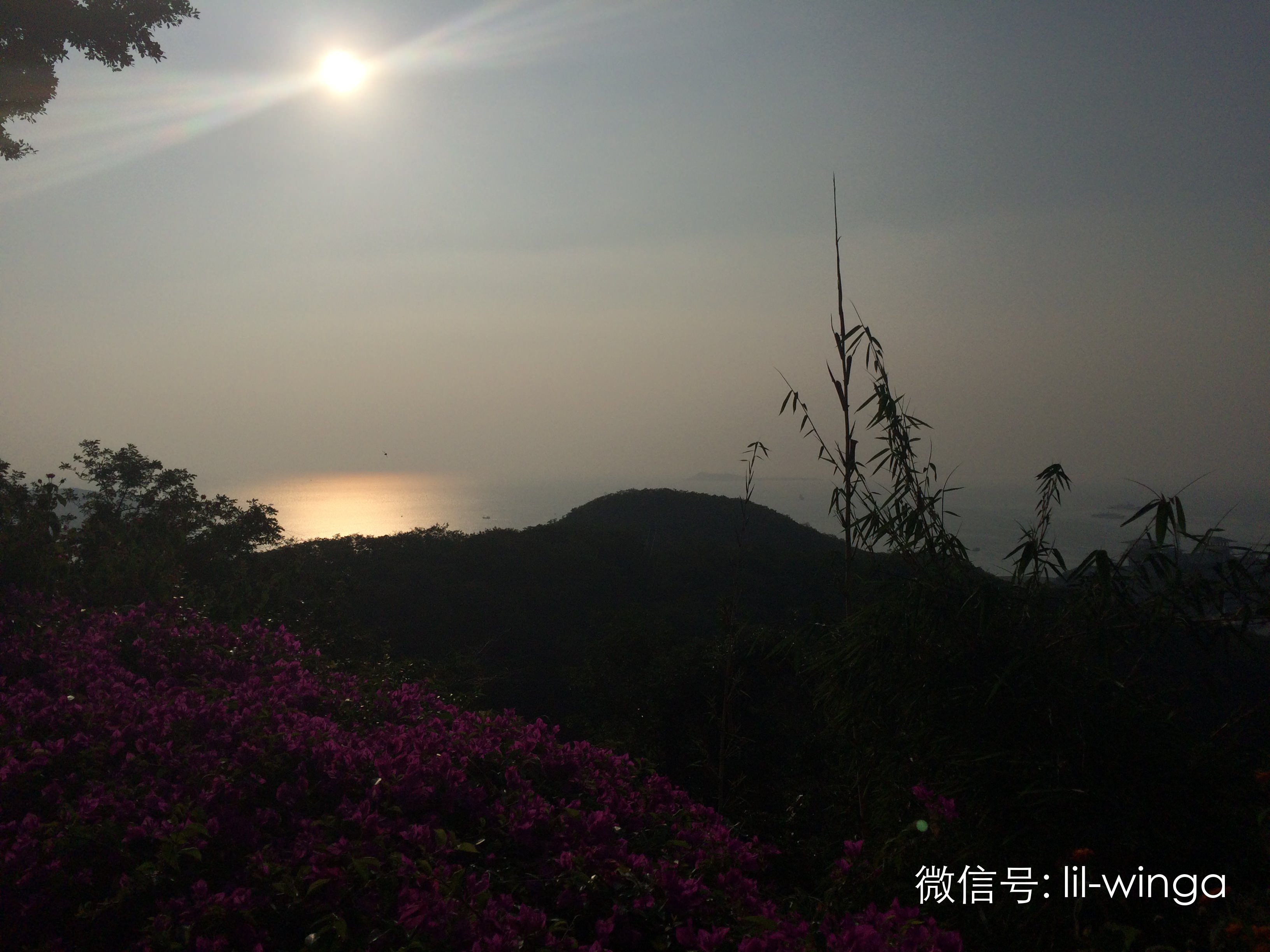 image-8