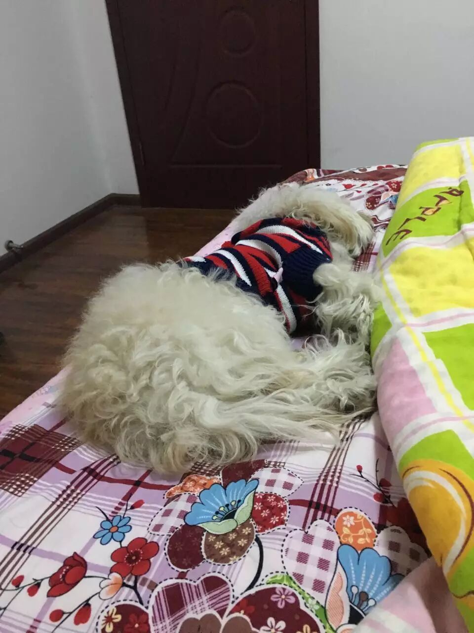 image-11