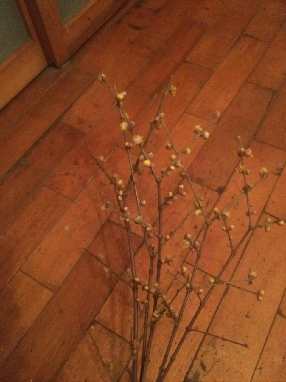 image-5