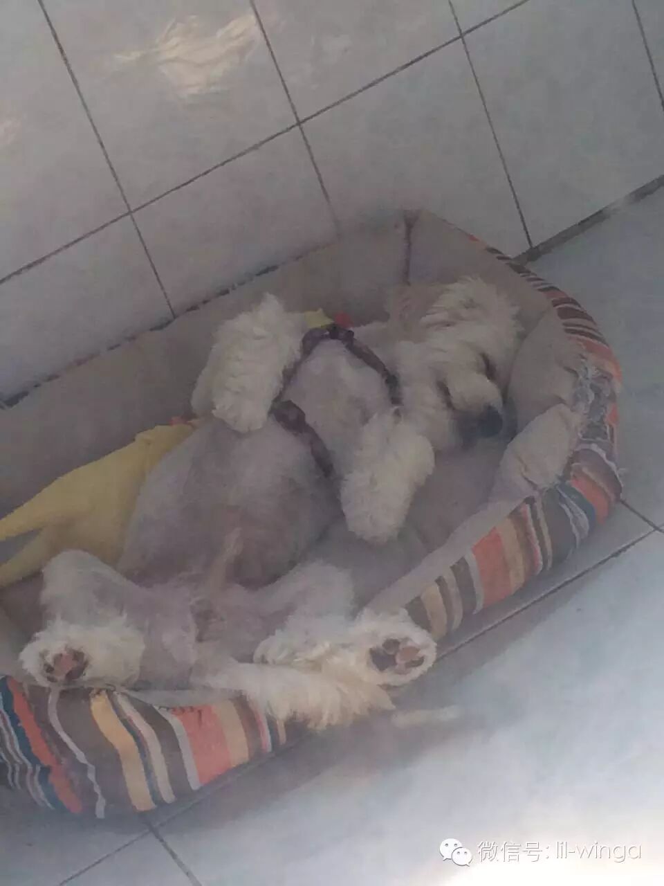 image-3