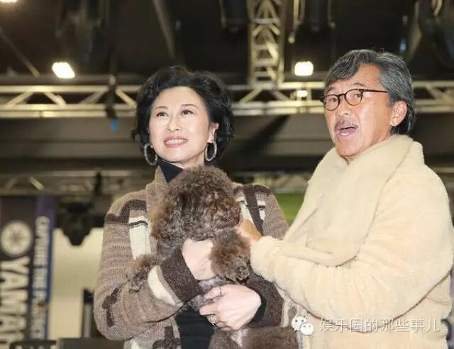 林子祥叶倩文罕见合体 女方抱爱犬风华依旧