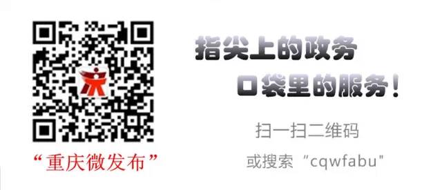 深度揭秘（重庆市人力资源）重庆市人力资源社会保障公众网 第2张