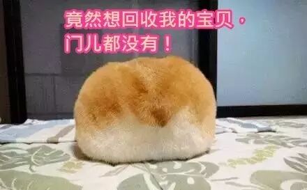 dnp為什么不能作為減肥藥物_藥物減肥_減肥藥物有哪些