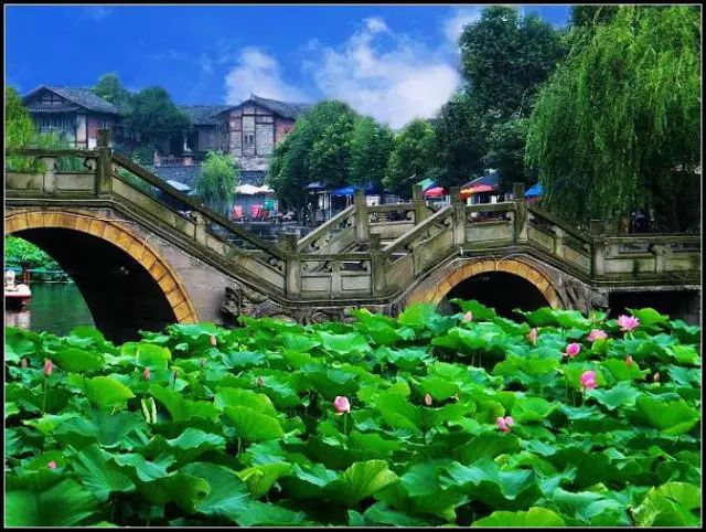 大家好,给大家介绍一下,这是我女朋友@富顺人