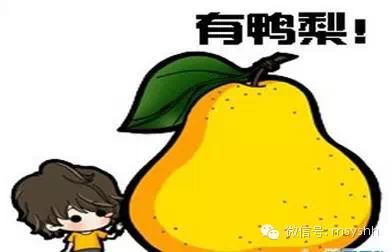 说一千道一万,作为一个胖纸,不得不承认,在生活中很多时候,鸭梨山大!