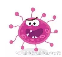 感染了人乳头瘤病毒(HPV),还能怀孕吗?-怀孕期