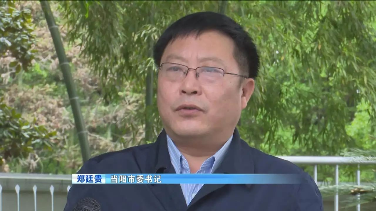当阳市委书记  基层党员干部都要学网,懂网,用网,通过网络了解群众