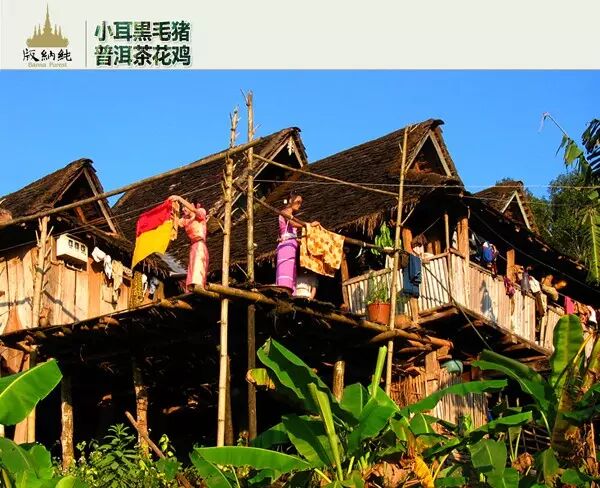 流传:傣家竹楼1000多年的文化历史…… 流传:傣家竹楼1000多年的文化历史……