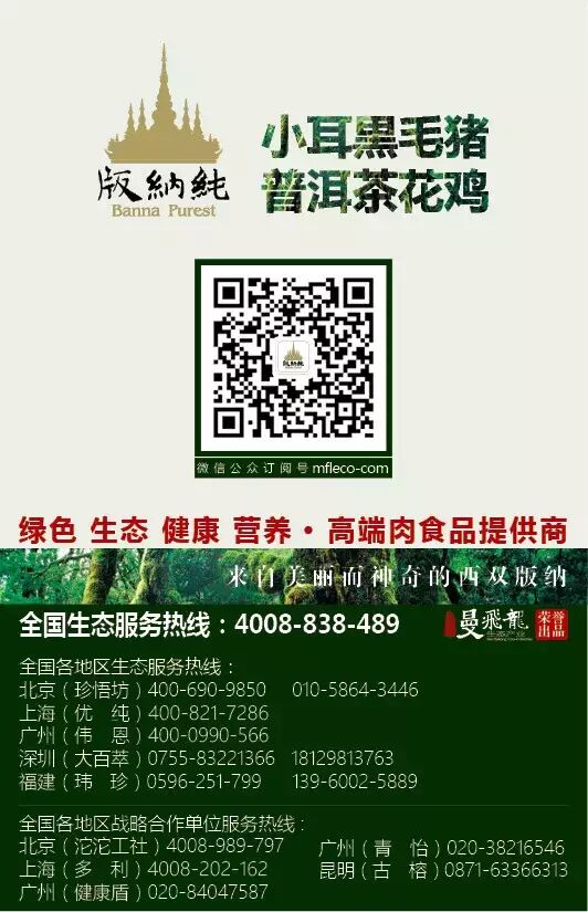 西双版纳热带雨林里那些搞怪的藤本植物！