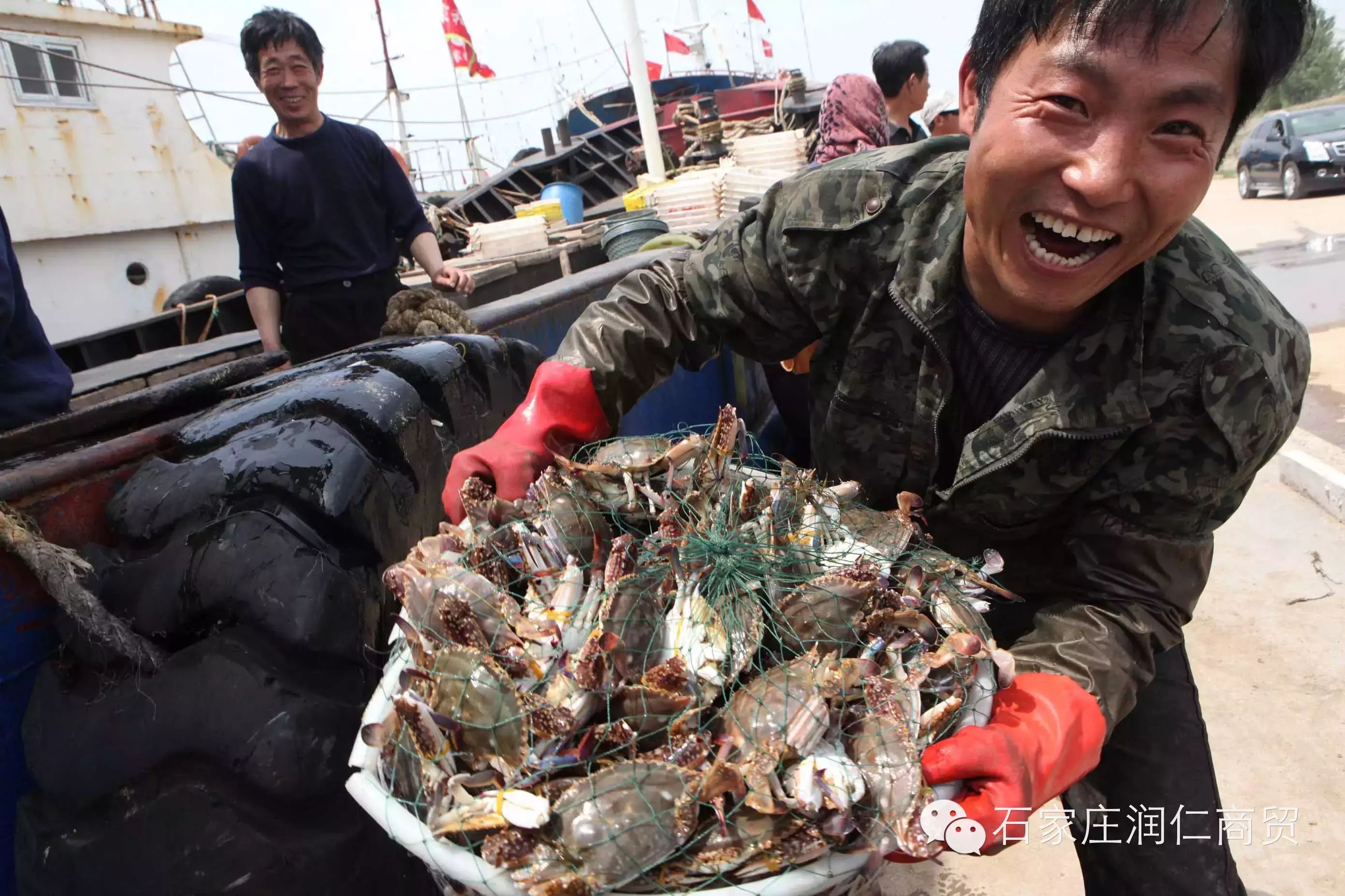 中秋海鲜紧急通知梭子蟹母无货不再接受预订南排河开海海鲜来自舌尖上