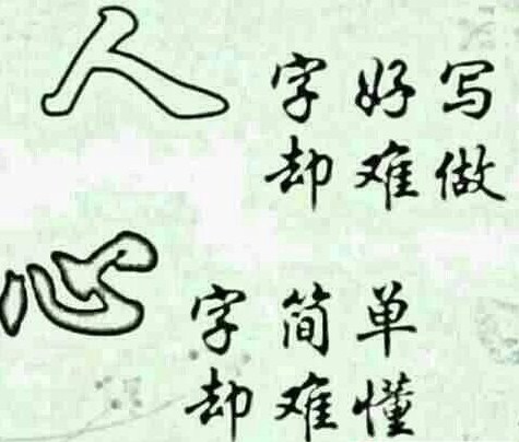 《U型理论》与进化教练技术