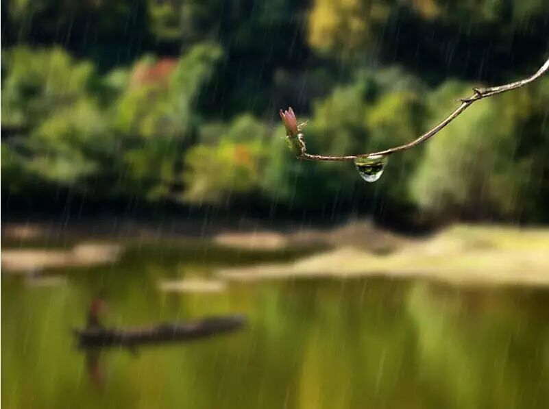 芒种养生吃什么，清淡滋补调脾胃