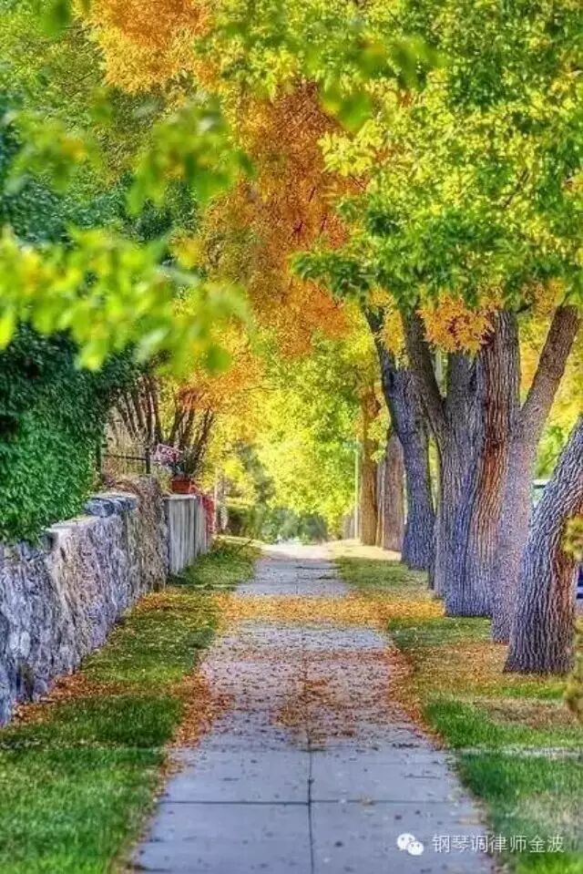 ...(♬ La Cumparsita-Richard Clayderman)