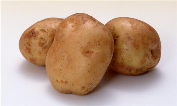 冬天多吃这5个“大块头”