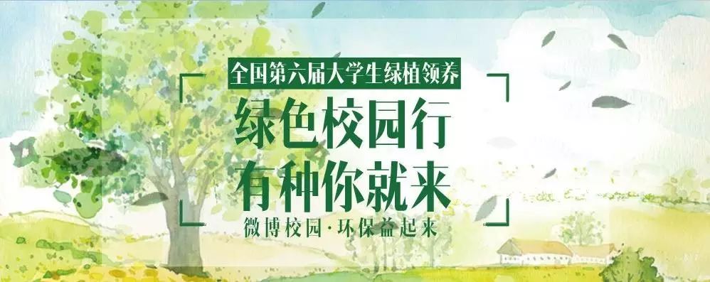 绿植领养:和王俊凯一起种苗!