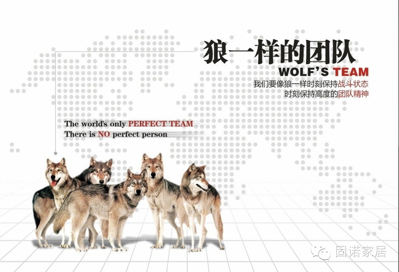 固诺的“狼性”进取文化