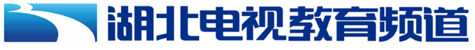 湖北小学生汉字大赛选手风采展示