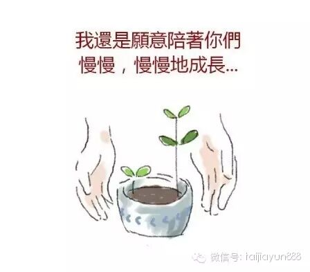 从刘德华的电影《失狐》 深度解析失独家庭以及二胎生与否、怎样生的问题-怀孕期