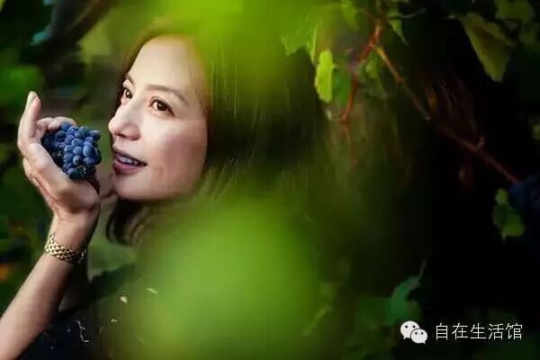 马云、赵薇、刘嘉玲、黄晓明、郭德纲的葡萄酒有何区别?