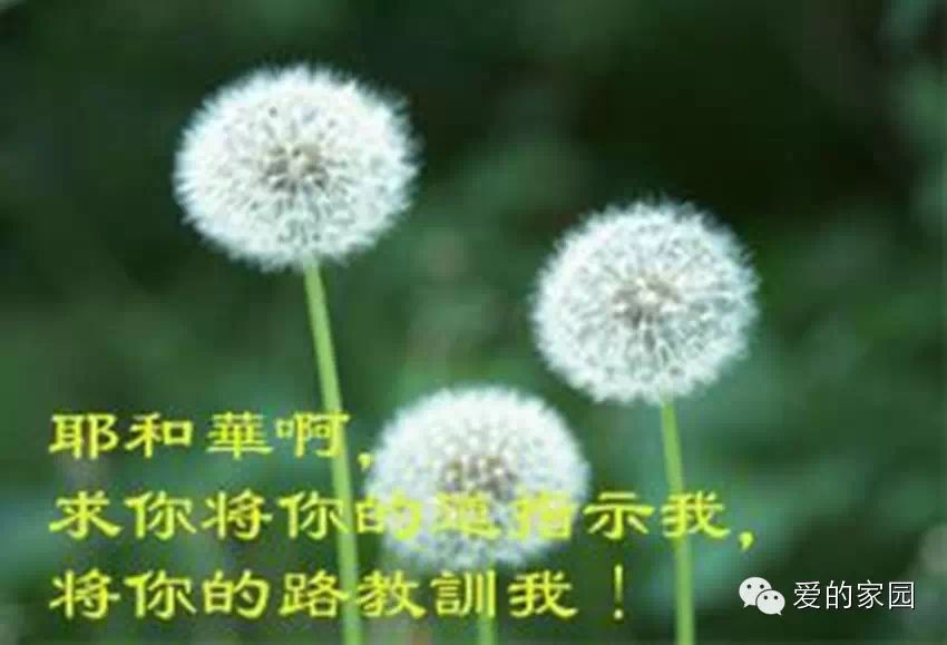 【图文】基督徒明星信仰大全