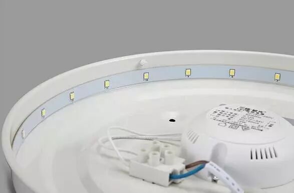 夏纳电影节实力抢镜？「柔雅」做到了！