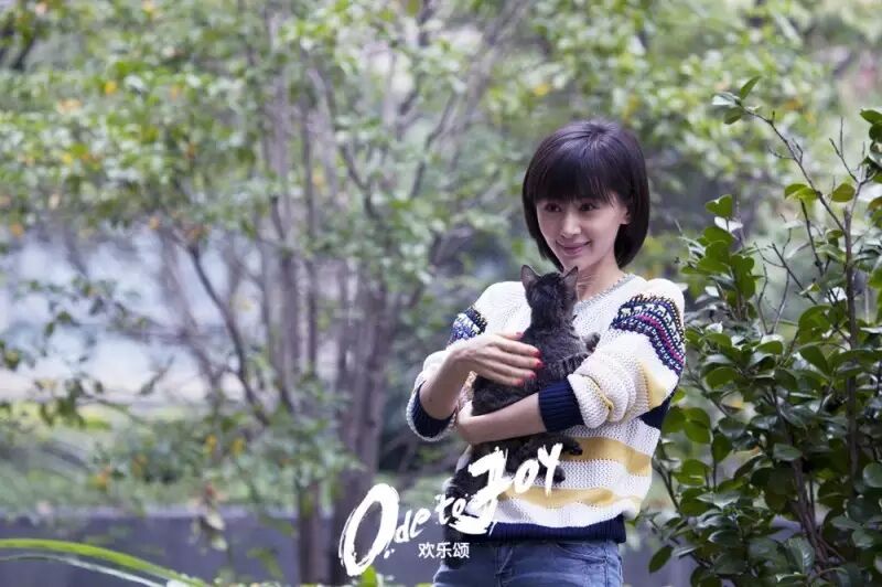 它一出，《欢乐颂》五美自动减一颗星