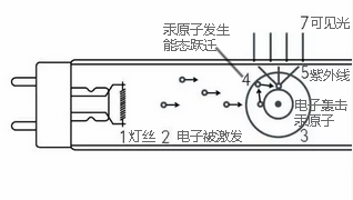 夏纳电影节实力抢镜？「柔雅」做到了！