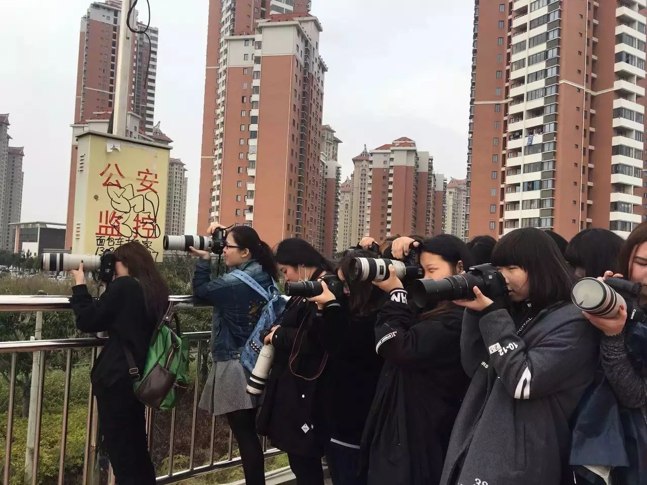 【郡主】为什么连TFBOYS也青睐集美?