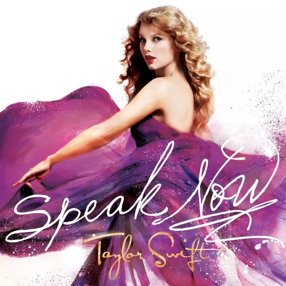 英文歌曲:Speak Now(By Taylor Swift)