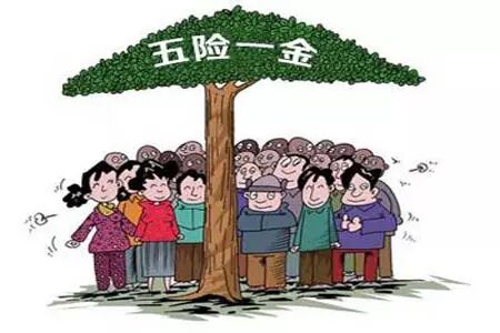 职场菜鸟：当你求职时五险一金，你懂多少？你该有的福利保障别被单位坑了 求职攻略 第2张