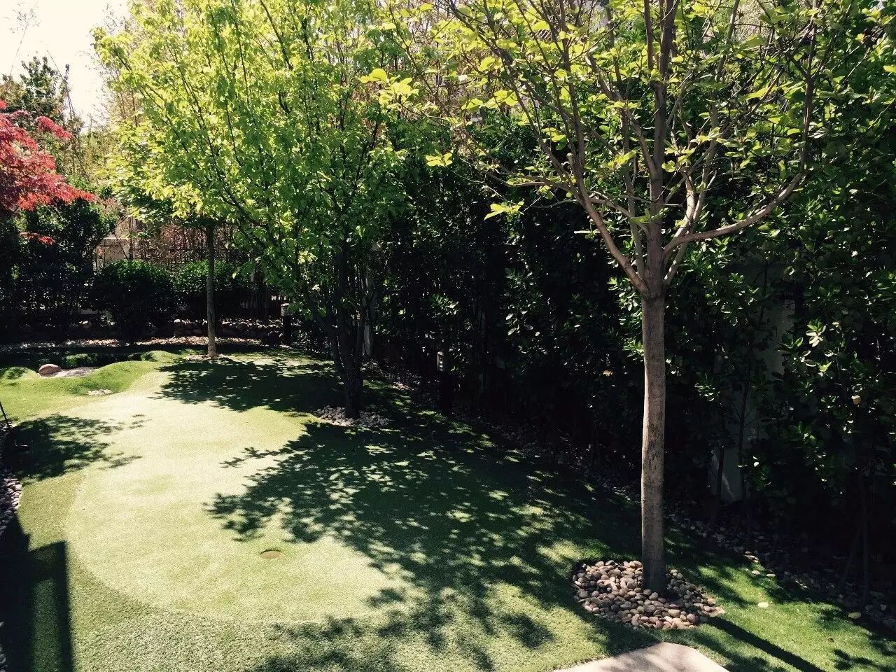 董思阳变身记:从“21岁美女总裁”到二胎妈咪-怀孕期