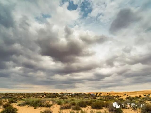 越野是一种病，得去沙漠治！