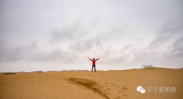 越野是一种病，得去沙漠治！