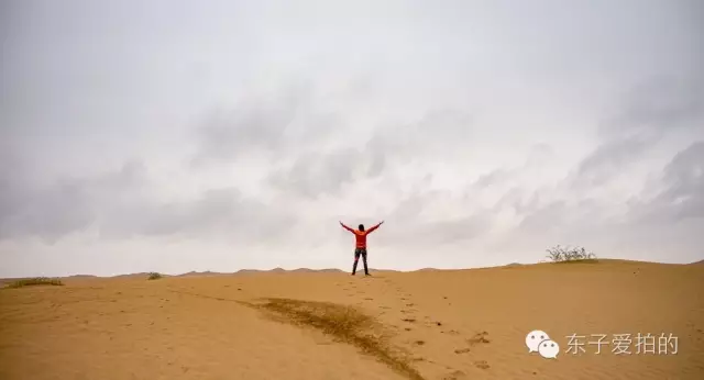 越野是一种病,得去沙漠治! 越野是一种病,得去沙漠治!