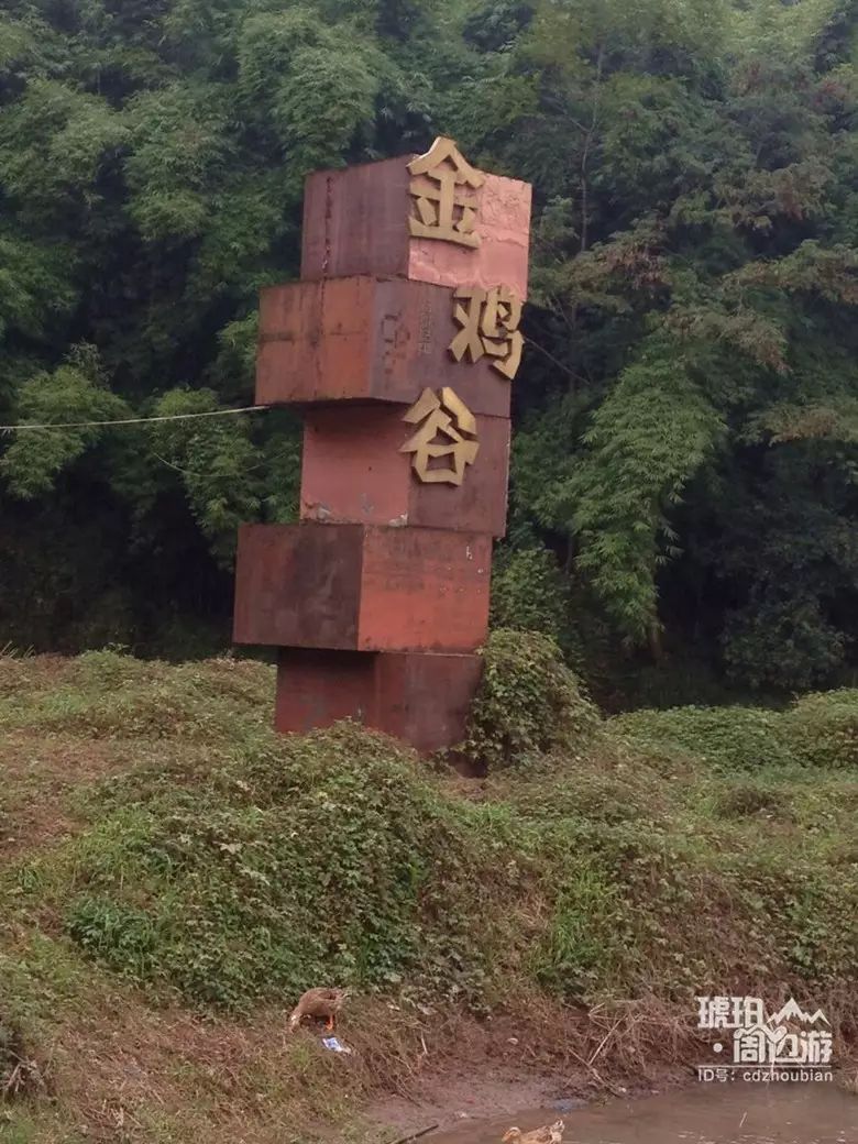 金鸡谷满眼翠绿