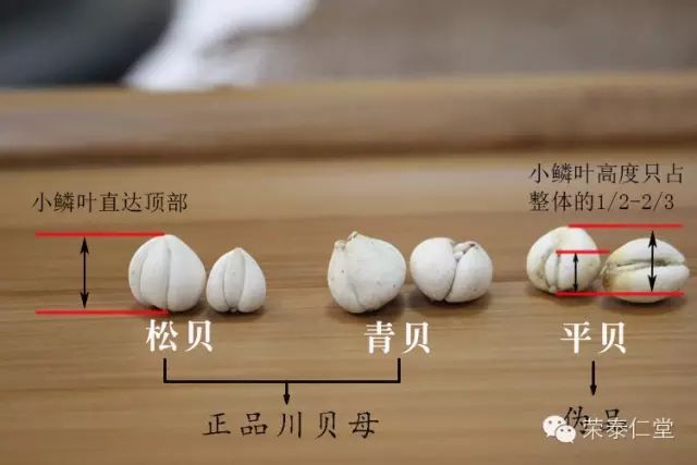 你吃的冬虫夏草是真的吗?中药材消费知识在行动