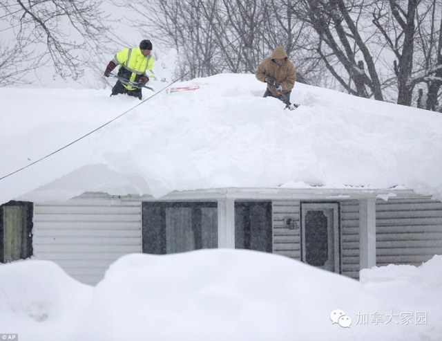 一场惨绝人寰大雪:美帝水牛城(buffalo)瞬间这样了(多伦多人民看后很恐惧) - 九头鸟 - ...欢迎四方博客... 一场惨绝人寰大雪:美帝水牛城(buffalo)瞬间这样了(多伦多人民看后很恐惧) - 九头鸟 - ...欢迎四方博客...