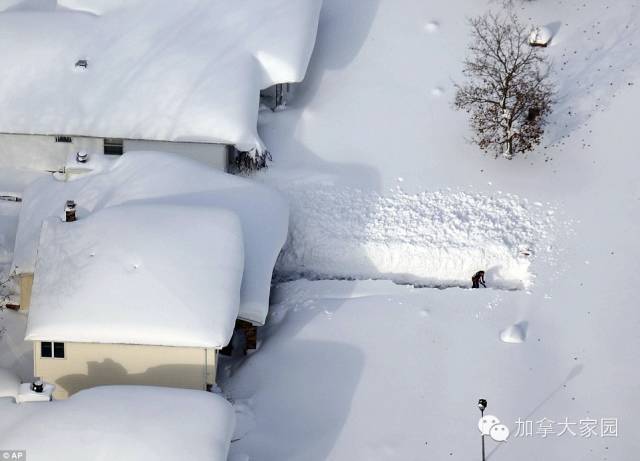 一场惨绝人寰大雪:美帝水牛城(buffalo)瞬间这样了(多伦多人民看后很恐惧) - 九头鸟 - ...欢迎四方博客... 一场惨绝人寰大雪:美帝水牛城(buffalo)瞬间这样了(多伦多人民看后很恐惧) - 九头鸟 - ...欢迎四方博客...