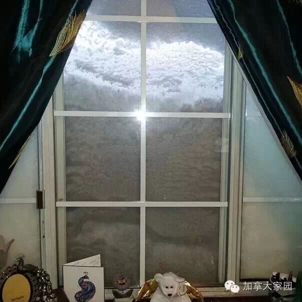 一场惨绝人寰大雪:美帝水牛城(buffalo)瞬间这样了(多伦多人民看后很恐惧) - 九头鸟 - ...欢迎四方博客... 一场惨绝人寰大雪:美帝水牛城(buffalo)瞬间这样了(多伦多人民看后很恐惧) - 九头鸟 - ...欢迎四方博客...