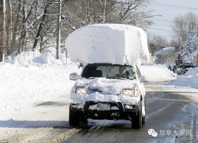 一场惨绝人寰大雪:美帝水牛城(buffalo)瞬间这样了(多伦多人民看后很恐惧) - 九头鸟 - ...欢迎四方博客... 一场惨绝人寰大雪:美帝水牛城(buffalo)瞬间这样了(多伦多人民看后很恐惧) - 九头鸟 - ...欢迎四方博客...
