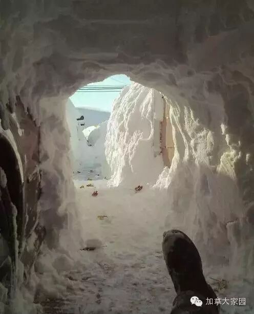 一场惨绝人寰大雪:美帝水牛城(buffalo)瞬间这样了(多伦多人民看后很恐惧) - 九头鸟 - ...欢迎四方博客... 一场惨绝人寰大雪:美帝水牛城(buffalo)瞬间这样了(多伦多人民看后很恐惧) - 九头鸟 - ...欢迎四方博客...