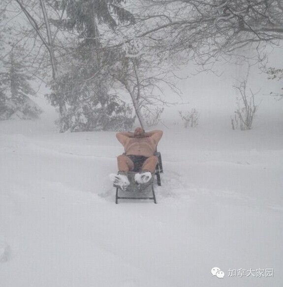 一场惨绝人寰大雪:美帝水牛城(buffalo)瞬间这样了(多伦多人民看后很恐惧) - 九头鸟 - ...欢迎四方博客... 一场惨绝人寰大雪:美帝水牛城(buffalo)瞬间这样了(多伦多人民看后很恐惧) - 九头鸟 - ...欢迎四方博客...