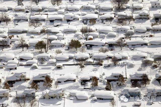 一场惨绝人寰大雪:美帝水牛城(buffalo)瞬间这样了(多伦多人民看后很恐惧) - 九头鸟 - ...欢迎四方博客... 一场惨绝人寰大雪:美帝水牛城(buffalo)瞬间这样了(多伦多人民看后很恐惧) - 九头鸟 - ...欢迎四方博客...