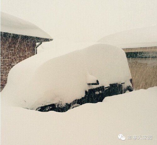 一场惨绝人寰大雪:美帝水牛城(buffalo)瞬间这样了(多伦多人民看后很恐惧) - 九头鸟 - ...欢迎四方博客... 一场惨绝人寰大雪:美帝水牛城(buffalo)瞬间这样了(多伦多人民看后很恐惧) - 九头鸟 - ...欢迎四方博客...