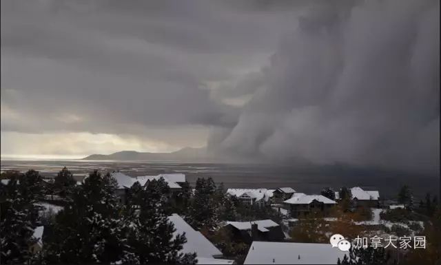 一场惨绝人寰大雪:美帝水牛城(buffalo)瞬间这样了(多伦多人民看后很恐惧) - 九头鸟 - ...欢迎四方博客... 一场惨绝人寰大雪:美帝水牛城(buffalo)瞬间这样了(多伦多人民看后很恐惧) - 九头鸟 - ...欢迎四方博客...