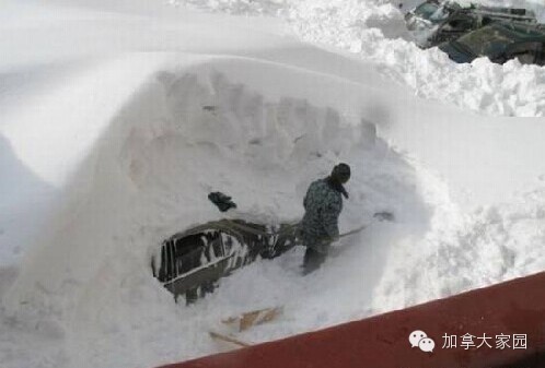 一场惨绝人寰大雪:美帝水牛城(buffalo)瞬间这样了(多伦多人民看后很恐惧) - 九头鸟 - ...欢迎四方博客... 一场惨绝人寰大雪:美帝水牛城(buffalo)瞬间这样了(多伦多人民看后很恐惧) - 九头鸟 - ...欢迎四方博客...