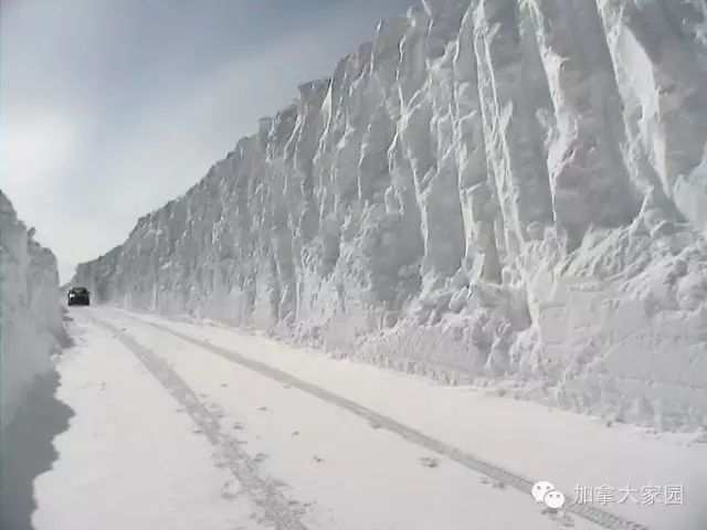 一场惨绝人寰大雪:美帝水牛城(buffalo)瞬间这样了(多伦多人民看后很恐惧) - 九头鸟 - ...欢迎四方博客... 一场惨绝人寰大雪:美帝水牛城(buffalo)瞬间这样了(多伦多人民看后很恐惧) - 九头鸟 - ...欢迎四方博客...