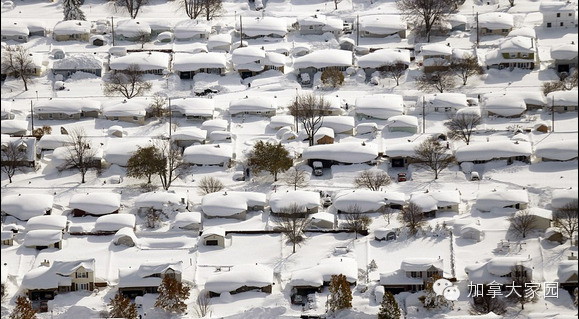 一场惨绝人寰大雪:美帝水牛城(buffalo)瞬间这样了(多伦多人民看后很恐惧) - 九头鸟 - ...欢迎四方博客... 一场惨绝人寰大雪:美帝水牛城(buffalo)瞬间这样了(多伦多人民看后很恐惧) - 九头鸟 - ...欢迎四方博客...
