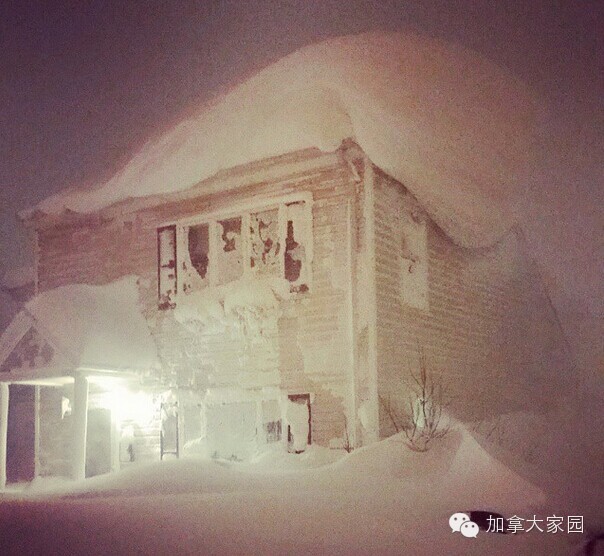 一场惨绝人寰大雪:美帝水牛城(buffalo)瞬间这样了(多伦多人民看后很恐惧) - 九头鸟 - ...欢迎四方博客... 一场惨绝人寰大雪:美帝水牛城(buffalo)瞬间这样了(多伦多人民看后很恐惧) - 九头鸟 - ...欢迎四方博客...