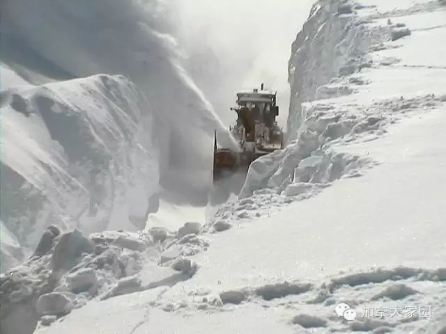 一场惨绝人寰大雪:美帝水牛城(buffalo)瞬间这样了(多伦多人民看后很恐惧) - 九头鸟 - ...欢迎四方博客... 一场惨绝人寰大雪:美帝水牛城(buffalo)瞬间这样了(多伦多人民看后很恐惧) - 九头鸟 - ...欢迎四方博客...